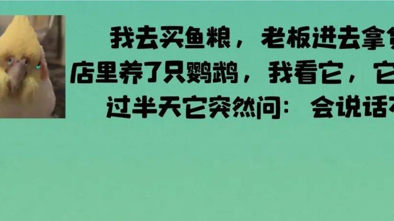食品代加工公司的报价单通常包含以下几个部分：